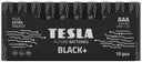 Tesla Black+ AAA Baterías (10 uds)
