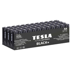 Tesla Black+ AA Baterías (48 uds)
