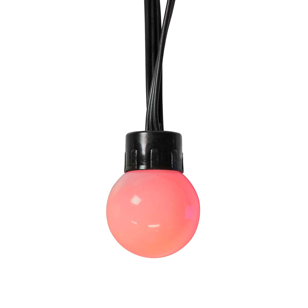 SmartLife Cadena de Luces Decorativa con 48 LED Pærer