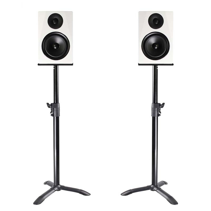Set de monitores de estudio con 2 soportes (20kg)