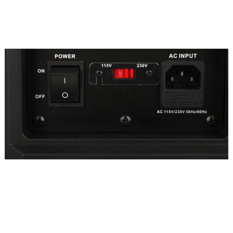 DNA SPX10 DSP recinto de altavoz activo de 10" 250 W
