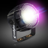 Evolights Candy PAR IP65