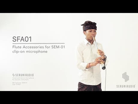 SFA01 Set de accesorios para flauta