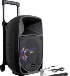 Ibiza Party8LED Altavoz de Festival (300W)