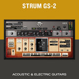 Strum GS-2