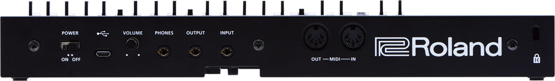Roland JU-06A Módulo de Sonido