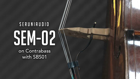 SBS01 Set de accesorios para bajo