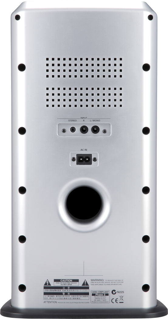 Roland PM-03 Monitor