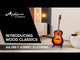 Applause Acoustic Guitar Wood Classics AAJ96-1 Jumbo 12-string - Sunburst (AAJ96-1)