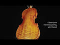 GEWA Violines Germania - 4/4 Modelo Rom (ajustado)