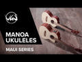 GEWA Ukeleles Concert Manoa Maui - Concert (Sapelli matt)