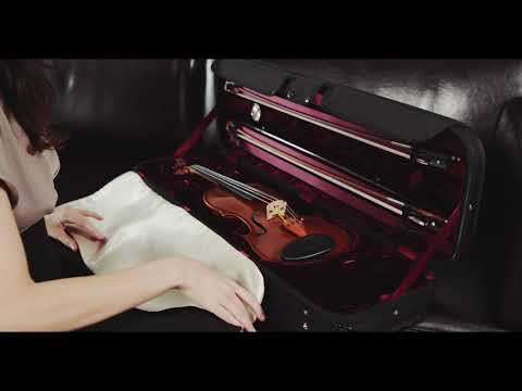 GEWA Estuche de violín moldeado Liuteria Maestro - 1/2