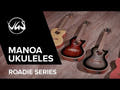 GEWA Ukeleles electroacústico tenor Manoa Roadie - E-A Tenor (Silver Shadow)