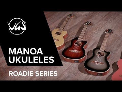 GEWA Ukeleles electroacústico tenor Manoa Roadie - E-A Tenor (Silver Shadow)