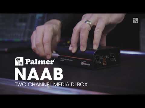 Palmer RIVER naab - Caja DI pasiva de 2 canales para uso multimedia