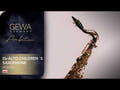 GEWA Ambition AS655 Eb-saxofón alto infantil, lacado dorado