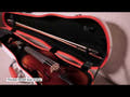 PURE GEWA Estuches de violines con forma Polycarbonate FUN - 4/4 - 1/2 (White / Blacj)