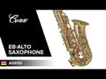 Conn Saxofón alto en Mib AS650 - AS650
