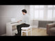 Roland FP-60X Piano Eléctrico (Negro)