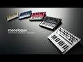 Korg Monologue Synthesizer (Negro)