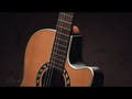 Ovation guitarra clásica eléctrica-acústica Classic Nylon Legend Mid Cutaway - Natural (1773AX-4-G)