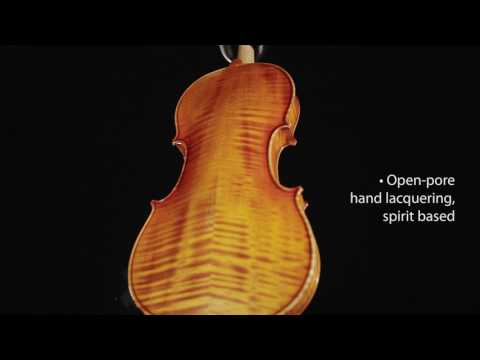 GEWA Violines Germania - 4/4 Model Prag (Set-up)