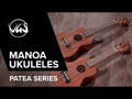 GEWA Ukeleles Concert Manoa P-CO - Concert (Sapelli mate)