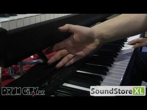 Yamaha P-45 B Piano Eléctrico (Negro)