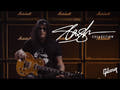 Epiphone Slash Les Paul Standard Guitarra eléctrica (November Burst)