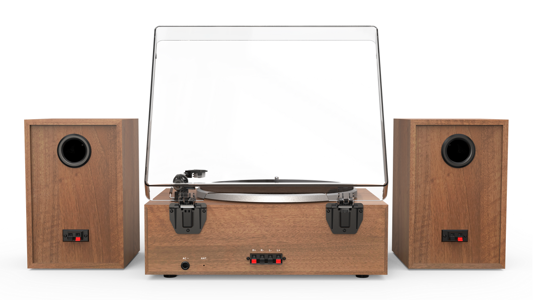 Aiwa LPS-1WD sistema de tocadiscos