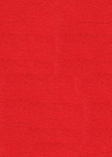 Alfombra Roja (1x 50 metros)