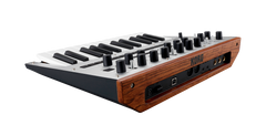 Korg Monologue Synthesizer (Plata)