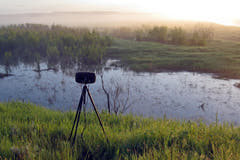 Boom Swamp ESTÉREO